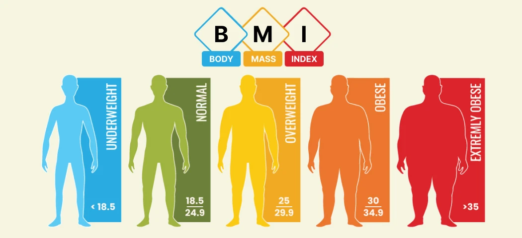 BMI Calculator: Simple, Fast, and Reliable Health Assessment