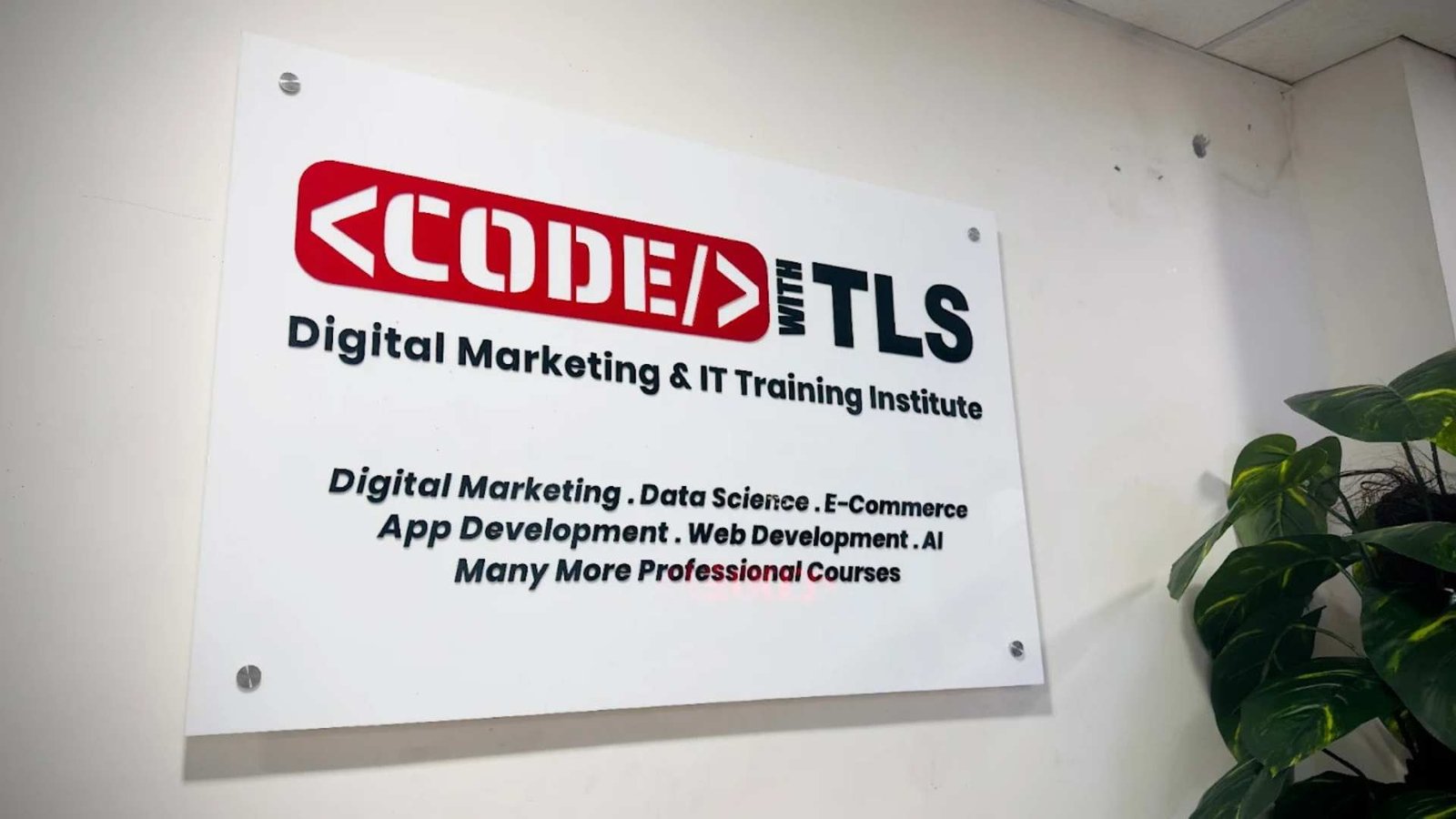 Discover the Best Digital Marketing Course in Delhi with Code with TLS